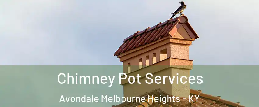 Chimney Pot Services Avondale Melbourne Heights - KY