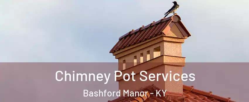 Chimney Pot Services Bashford Manor - KY