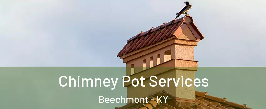 Chimney Pot Services Beechmont - KY