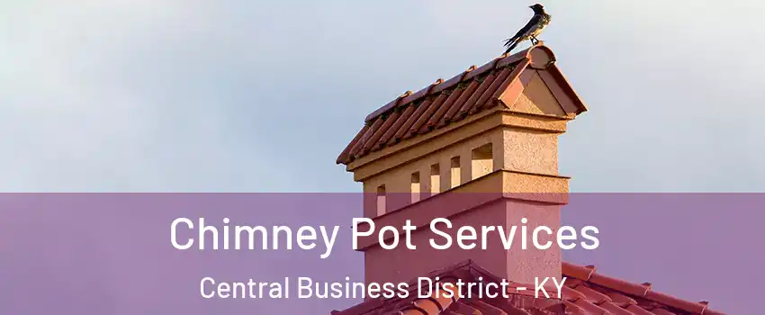 Chimney Pot Services Central Business District - KY