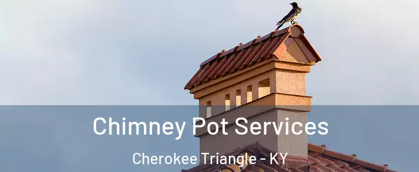 Chimney Pot Services Cherokee Triangle - KY