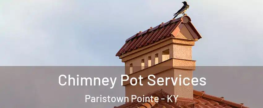 Chimney Pot Services Paristown Pointe - KY