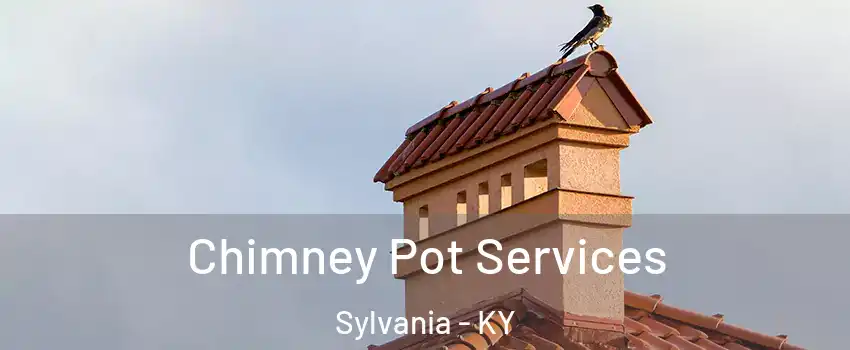 Chimney Pot Services Sylvania - KY