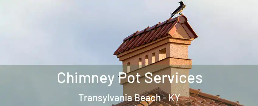 Chimney Pot Services Transylvania Beach - KY