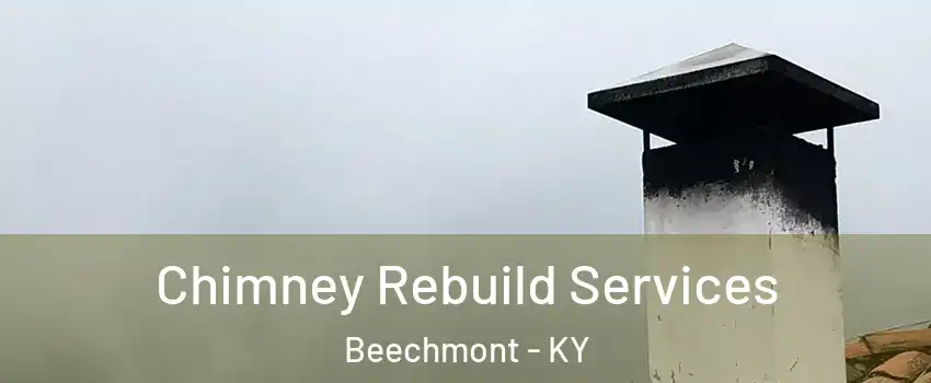 Chimney Rebuild Services Beechmont - KY