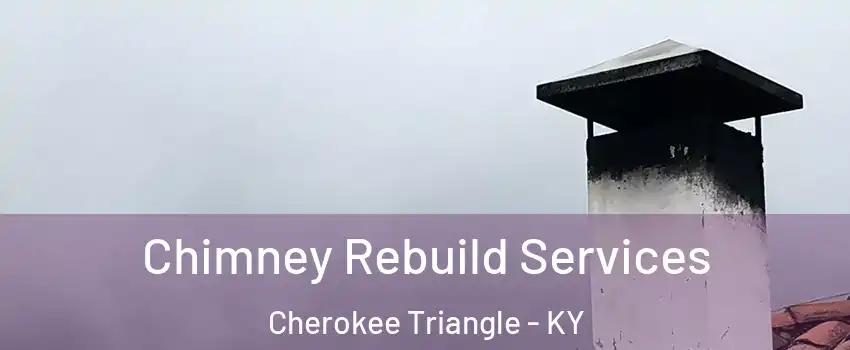 Chimney Rebuild Services Cherokee Triangle - KY