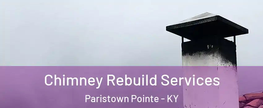 Chimney Rebuild Services Paristown Pointe - KY