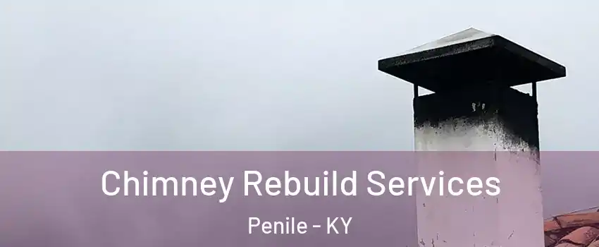 Chimney Rebuild Services Penile - KY