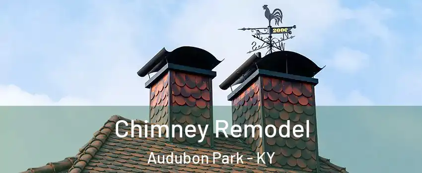 Chimney Remodel Audubon Park - KY