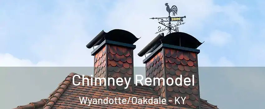 Chimney Remodel Wyandotte/Oakdale - KY