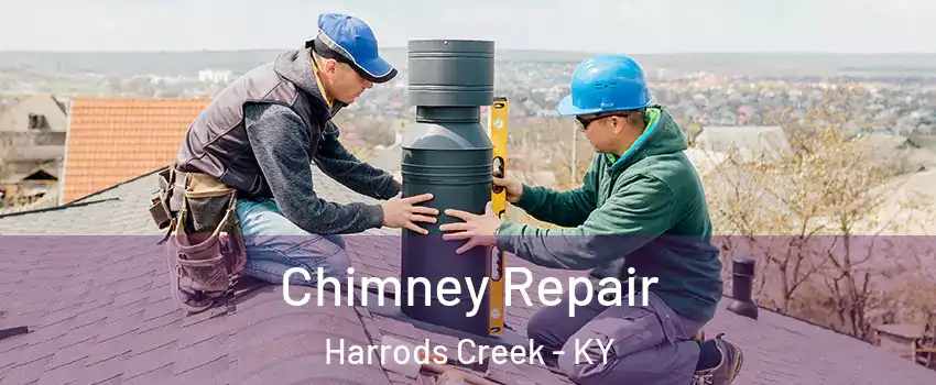 Chimney Repair Harrods Creek - KY