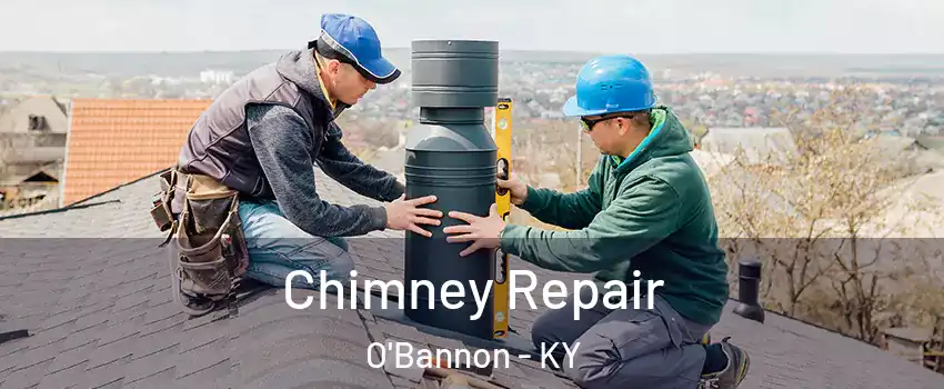 Chimney Repair O'Bannon - KY