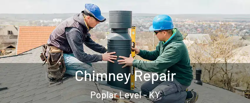 Chimney Repair Poplar Level - KY