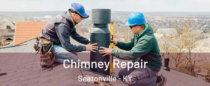 Chimney Repair Seatonville - KY