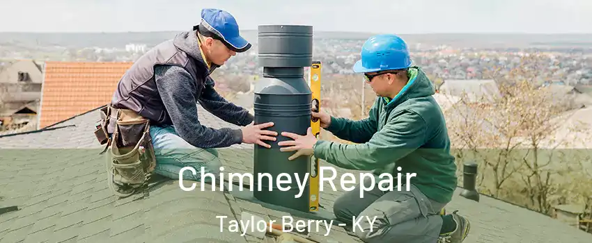 Chimney Repair Taylor Berry - KY