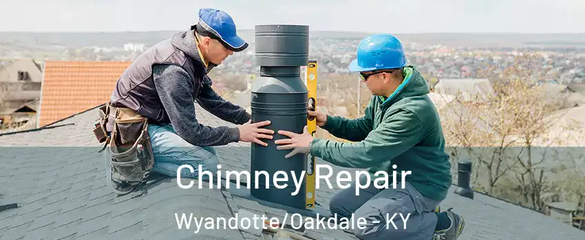 Chimney Repair Wyandotte/Oakdale - KY