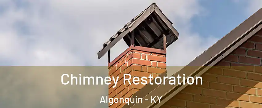 Chimney Restoration Algonquin - KY