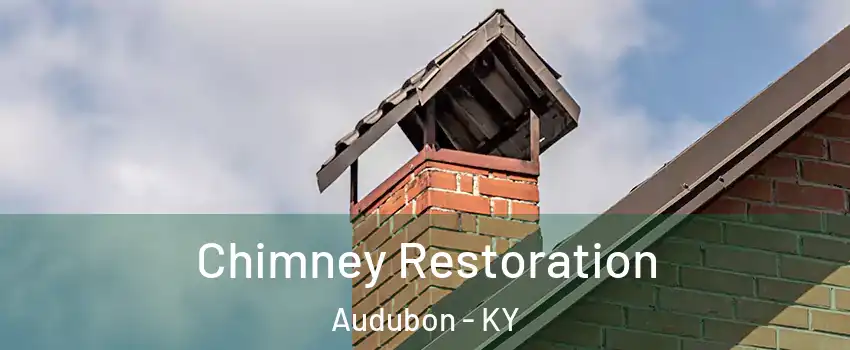 Chimney Restoration Audubon - KY