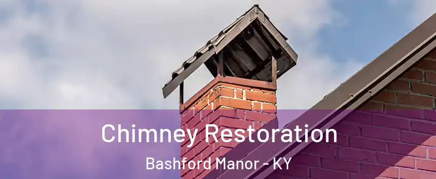 Chimney Restoration Bashford Manor - KY