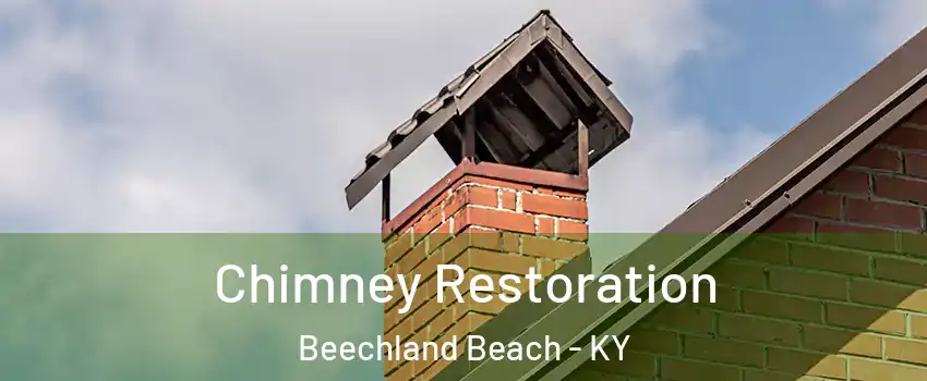 Chimney Restoration Beechland Beach - KY