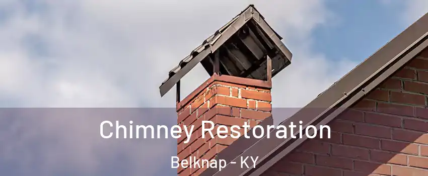 Chimney Restoration Belknap - KY