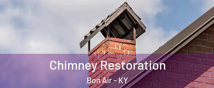 Chimney Restoration Bon Air - KY