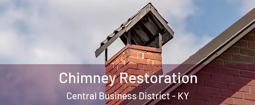 Chimney Restoration Central Business District - KY