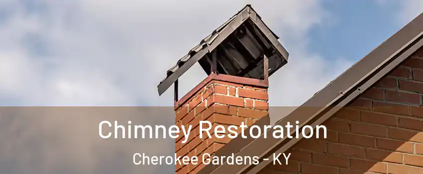 Chimney Restoration Cherokee Gardens - KY