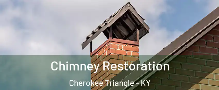 Chimney Restoration Cherokee Triangle - KY