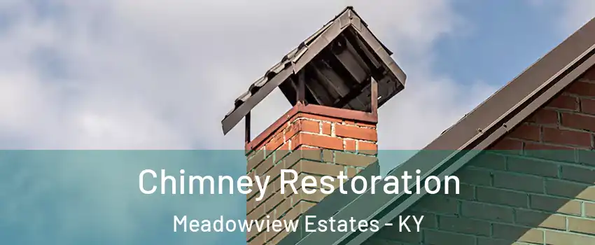 Chimney Restoration Meadowview Estates - KY