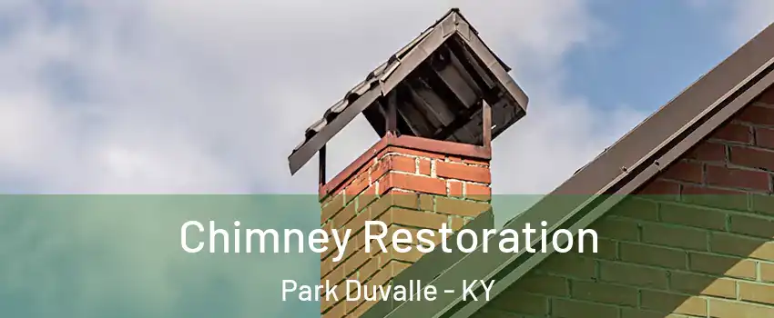 Chimney Restoration Park Duvalle - KY