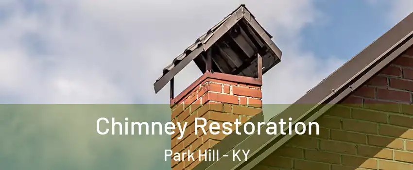 Chimney Restoration Park Hill - KY