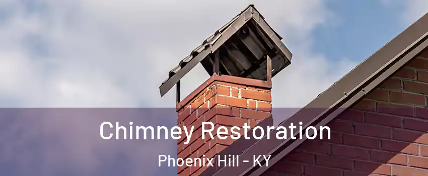 Chimney Restoration Phoenix Hill - KY