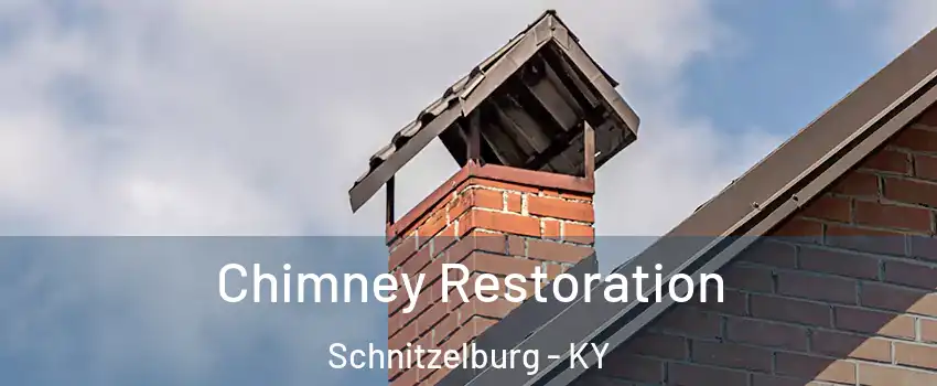 Chimney Restoration Schnitzelburg - KY