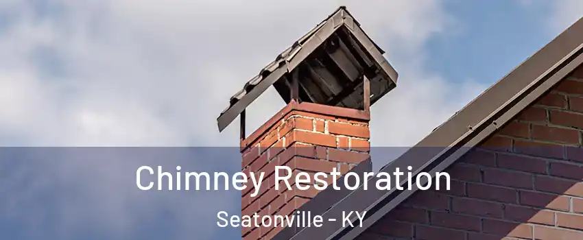 Chimney Restoration Seatonville - KY