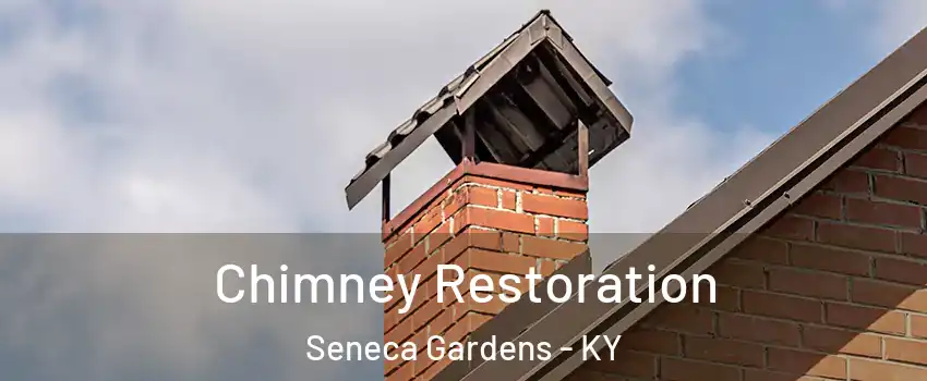 Chimney Restoration Seneca Gardens - KY