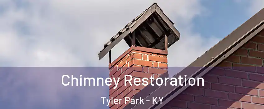 Chimney Restoration Tyler Park - KY