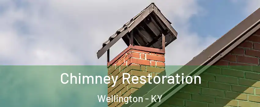 Chimney Restoration Wellington - KY