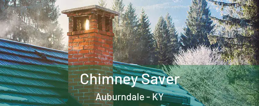 Chimney Saver Auburndale - KY