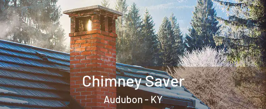 Chimney Saver Audubon - KY