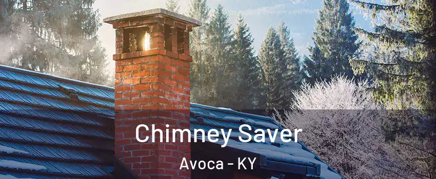 Chimney Saver Avoca - KY