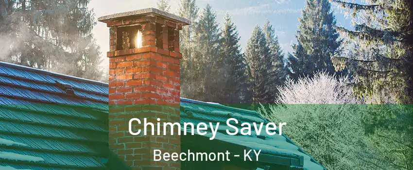 Chimney Saver Beechmont - KY