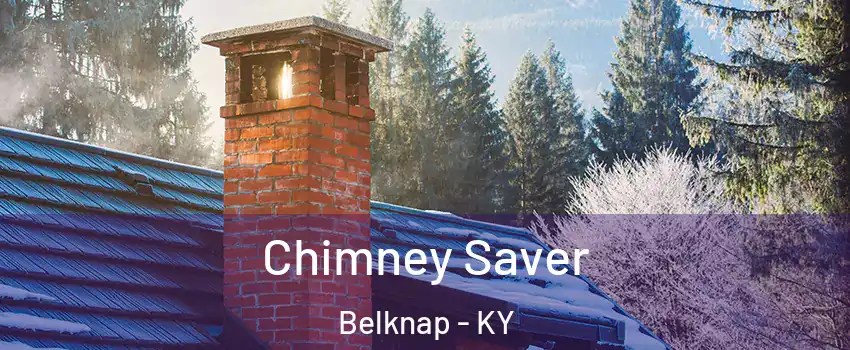 Chimney Saver Belknap - KY