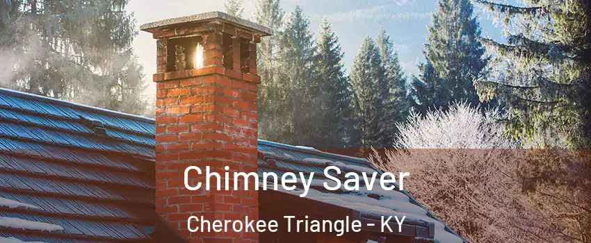 Chimney Saver Cherokee Triangle - KY