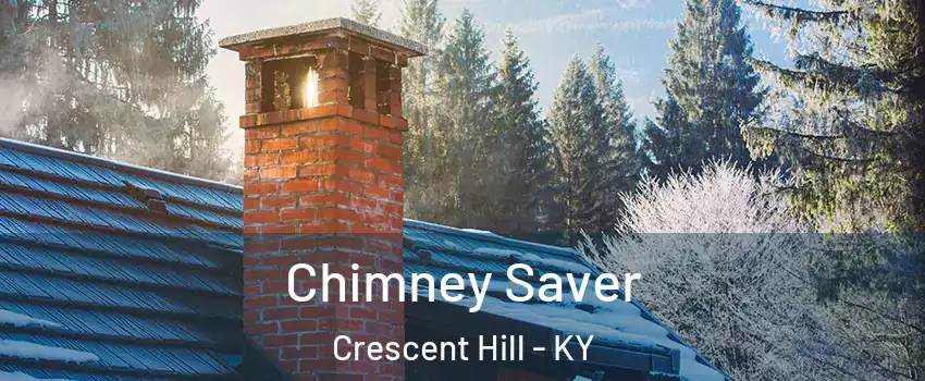 Chimney Saver Crescent Hill - KY