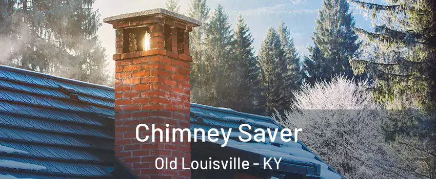 Chimney Saver Old Louisville - KY