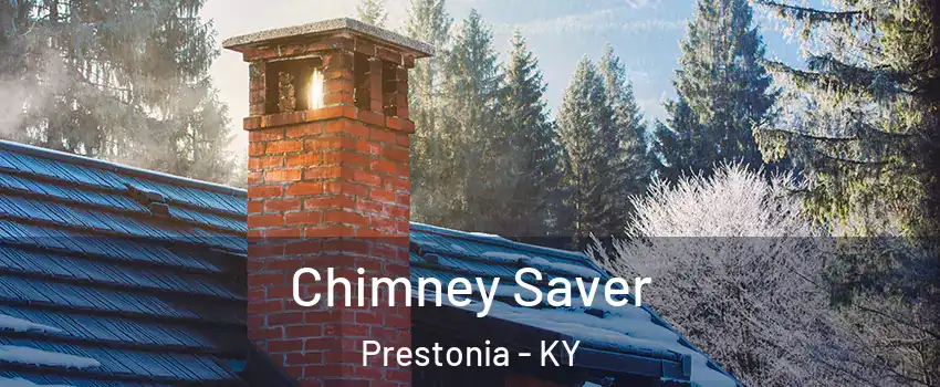 Chimney Saver Prestonia - KY