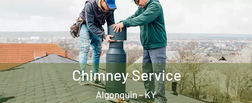 Chimney Service Algonquin - KY