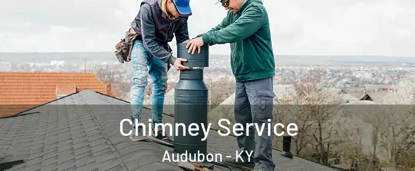 Chimney Service Audubon - KY