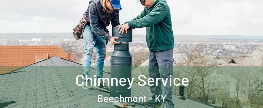 Chimney Service Beechmont - KY